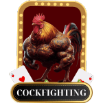 Cockfighting